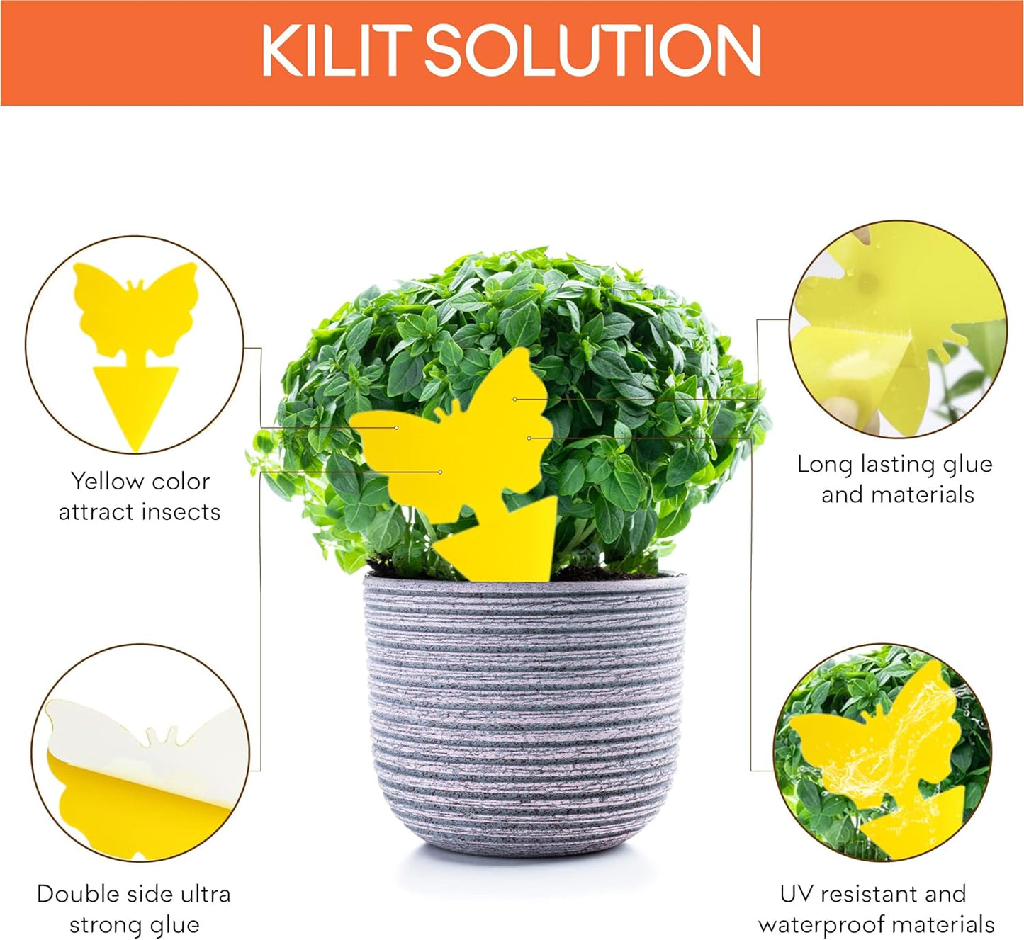 Pièges à Moucheron et à Insectes Autocollant Jaune Double Face