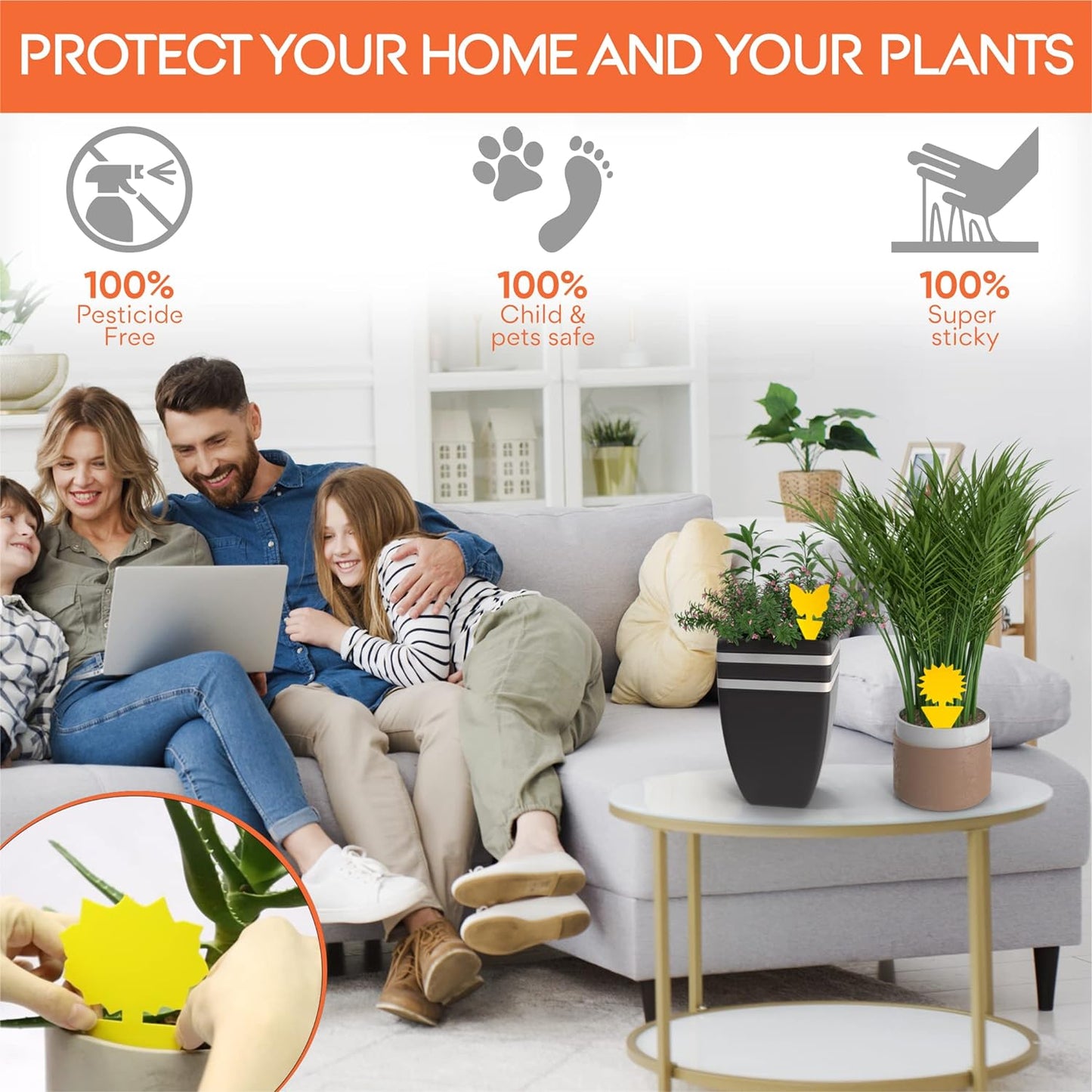 Pièges à Moucheron et à Insectes Autocollant Jaune Double Face