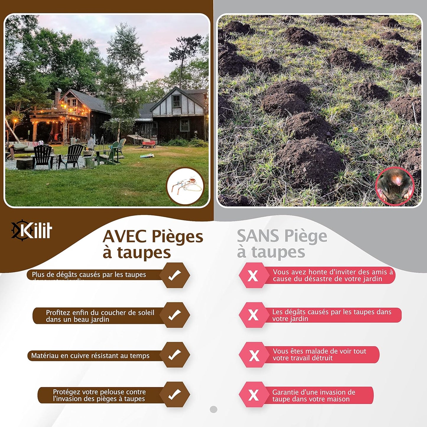 Piège à Taupe - Naturel sans Ultrason et sans fumigène